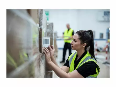 Brother Jatkuva tarra suoralämpötulostukseen 102 mm x 58 m - Brother tarrarullat - BDE1J000102102 - 2