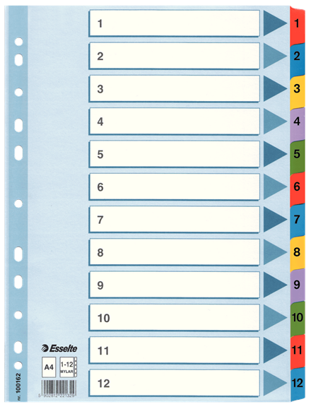 Esselte muovikielihakemisto Mylar 1-12 - Välilehdet, kartonki - 100162 - 1