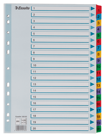 Esselte muovikielihakemisto Mylar 1-20 - Välilehdet, kartonki - 100163 - 1