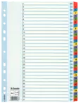 Esselte muovikielihakemisto Mylar 1-31 - Välilehdet, kartonki - 100164 - 1