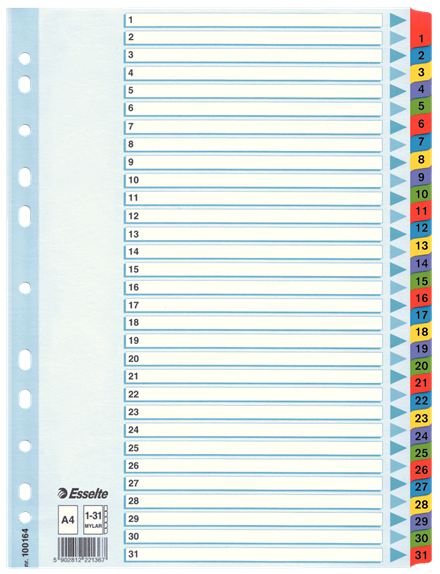 Esselte muovikielihakemisto Mylar 1-31 - Välilehdet, kartonki - 100164 - 1