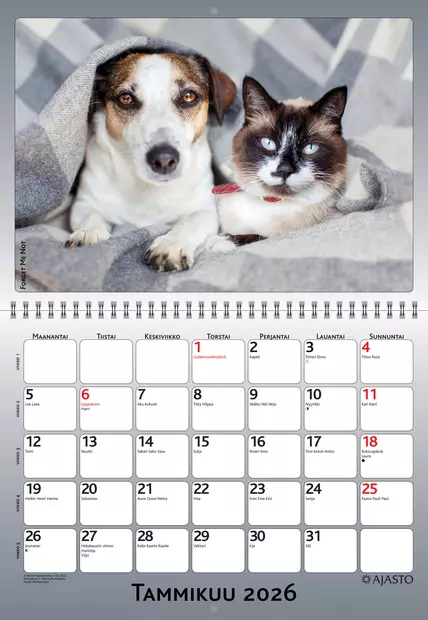 Forget-me-not-wall 2026 - Seinäkalenterit - 2670302126 - 2