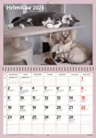 Kissat 2026 - Seinäkalenterit - 2670305026 - 2