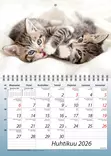 Kisut 2026 - Seinäkalenterit - 2670330226 - 2