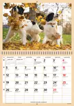 Koirat 2026 - Seinäkalenterit - 2670307026 - 2