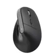 Trust Bayo+ Ergonomic Wireless Mouse ECO - Pystyhiiret - 25146 - 2