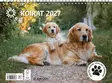Koirat 2027 - Seinäkalenterit - 2670307027 - 1