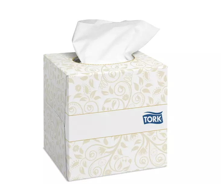 Tork Saniteettipyyhe 2-ply 100ark - Liinat ja kasvopyyhkeet - 140278 - 1