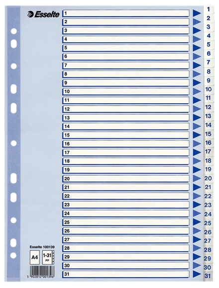 Esselte rekisteri 1-31 A4 muovi valkoinen - Välilehdet, muovi - 100139 - 1